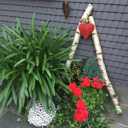 Appartamento Pusteblume Alpirsbach